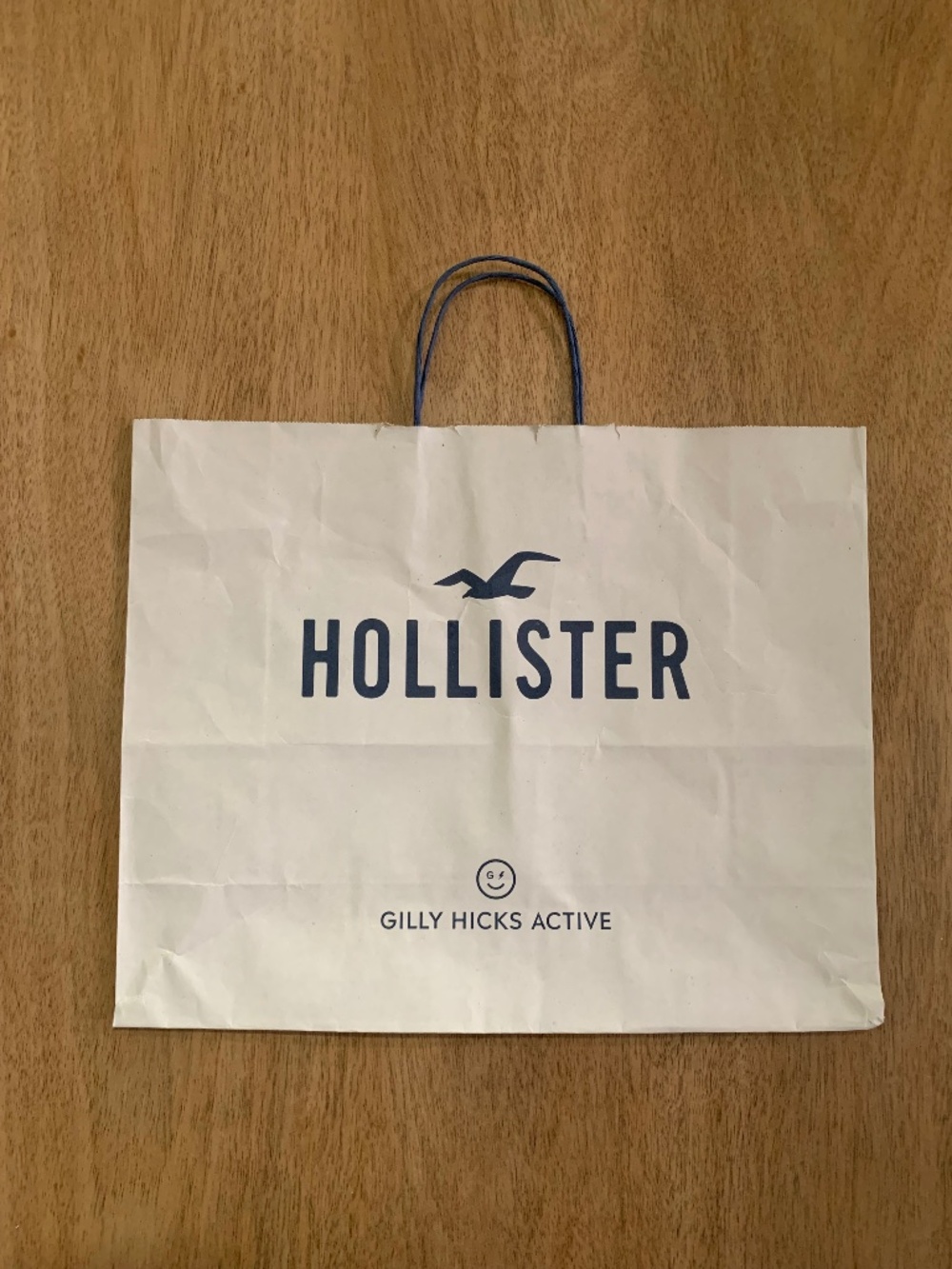 Hollister reusable Gift Bag, medium White and blue
